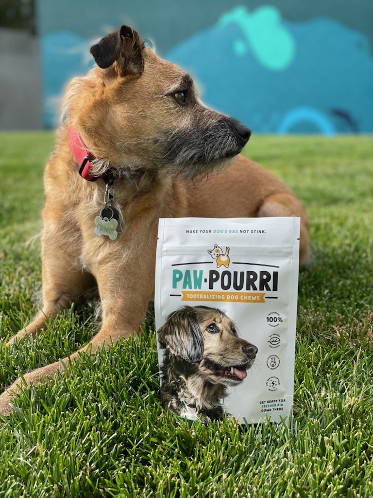 You Know When A Dog Farts with a dog and the paw-pouri dog treat